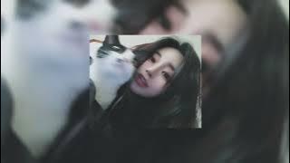 Megan Thee Stallion & Dua Lipa - Sweetest Pie (SPEED UP)