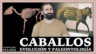 Historia Evolutiva de los Caballos: Un Viaje Paleontológico
