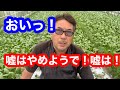 おい！なんぼ何でも嘘はダメじゃろ嘘は。恥を知れ恥を！