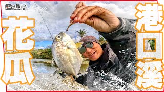 Can't catch these two kinds of fish? Estuary fishing is never boring! #fishing #like #love by 怪獸山丘 Monster Hill 4,451 views 9 months ago 12 minutes, 27 seconds