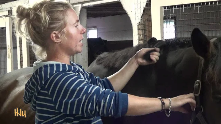 HorseJunkiesUnit...  - Braiding Step By Step with ...
