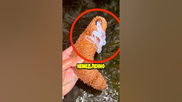 Никогда НЕ ТРОГАЙ Это Существо‼️😱 #shorts