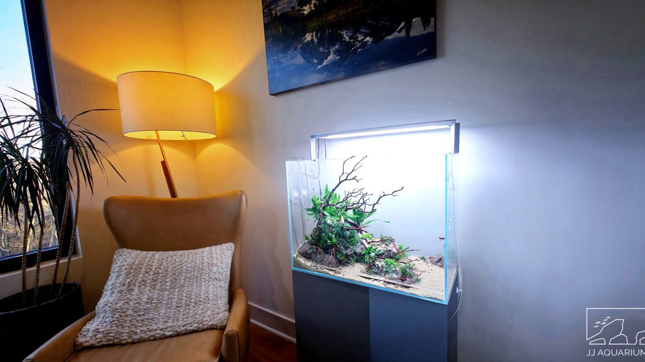 Planting a Client’s ADA 60H Aquarium | Full Nature Aquarium Setup