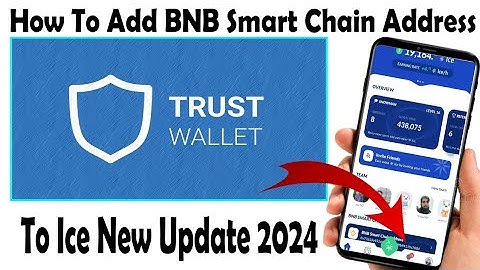 How to add BNB smart chain address in ice||New update 2024
