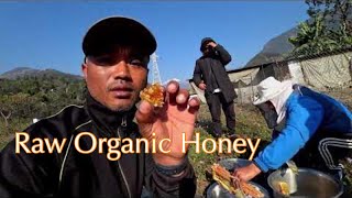 Honey Harvesting And Visiting Organic Farm || Lamjung, Nepal