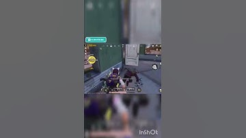 Livik is FULL of bots