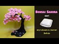 Ide Kreatif Bonsai Sakura dari Styrofoam dan koran bekas | Styrofoam Craft Ideas | Best waste