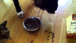 Review Giveaway Rachel Ray's Nutrish Just 6 Dog Food