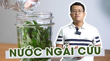 Hướng dẫn làm nước ngải cứu và cùng tìm hiểu một số công dụng đối với sức khỏe của ngải cứu
