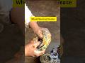 Truck Wheel Bearing Greasing #short #engine #mechanic #truck #repair #shorts #automobile #shortsfeed