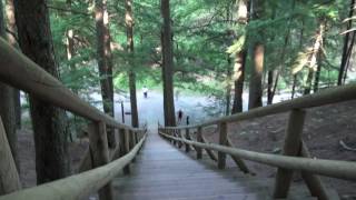 This is a beautiful park. there are waterfalls and trails through
large wooded area. jacobs ladder challenge can be deceiving as to how
steep it r...