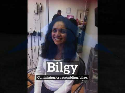 How Does Bilgy Look? | How to Say Bilgy in English? | What is Bilgy?