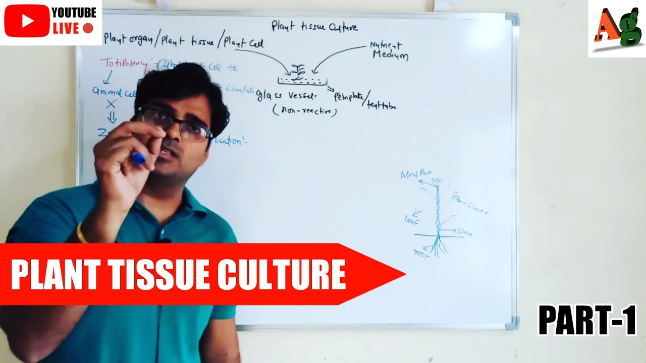 Plant Tissue Culture | Agriculture Biotechnology | Importance of Plant Tissue Culture