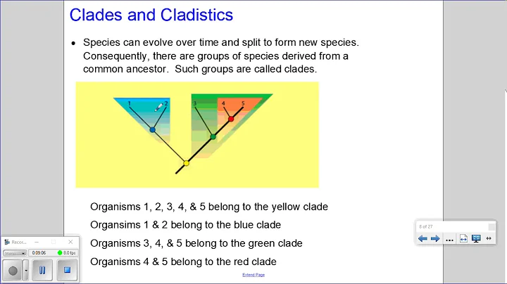 5.4 Cladistics