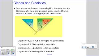 5.4 Cladistics