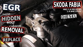 SKODA FABIA EGR Removal VAG 1.9 PD (01-07)