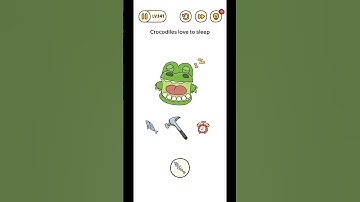 Brainfind Level 141 | Crocodile Love To Sleep! Easy Findout | #brainfind #subscribe #like