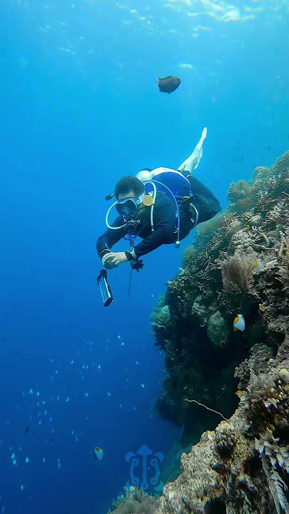 Family Dive trip and island sightseeing Bunaken, Manado North Sulawesi Indonesia #fyp #travel