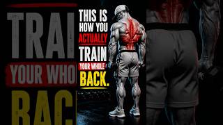 This is how you Actually Train your Back..