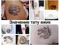 Значение тату ежик - факты и фото для сайта tattoo-photo.ru