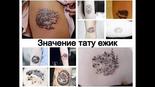 Значение тату ежик - факты и фото для сайта tattoo-photo.ru