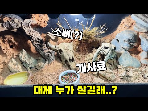 고수의 사육방에 놀러갔더니 이런 걸 키우고 있네요ㄷㄷ