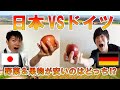 【ドイツ生活】日本vsドイツ 野菜&果物どっちが安い？値段の違いと理由を野菜ソムリエ＆ドイツ留学生が徹底解説！【海外生活】