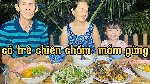 Cơm gia đình cá trê chiên mắm gừng rau luộc tuy đơn giản nhưng hao cơm ✅CƠM  NHÀ MẸ NẤU T91