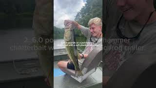 My top five biggest bass