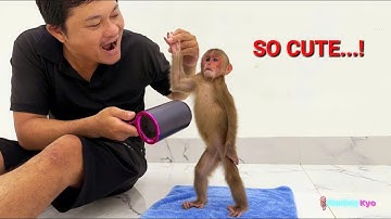 Baby Monkey Kyo: Dad did something special... Thank you! 💖