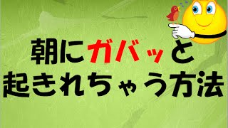 朝ガバッと起きる方法 Youtube