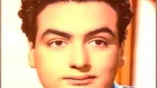 لغة الزهور ٠٠ حلاوتك يافوزى - اسمعها