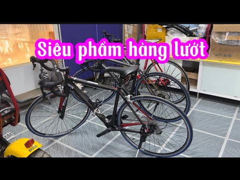Thuyết xe đạp