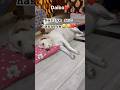 Mummy ki jaan❤️😂..#funnydaibo#funnycontent#funnyshorts#funnydailoge#youtubeshorts #ytshorts….