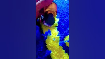 How To Carve A Rug At Home Using Clippers To Make 3D Rugs  #asmrtriggers #asmr #satisfyingvideo