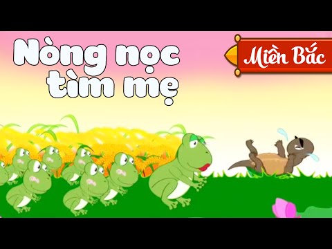 V.A (+) Nòng Nọc Con