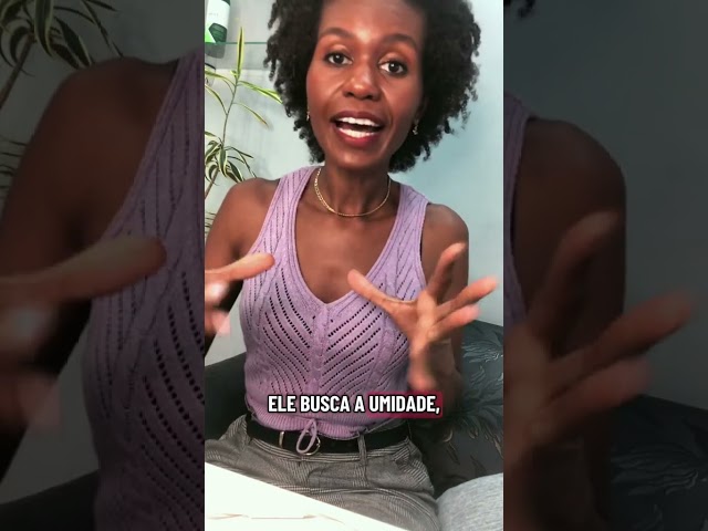 Frizz não é tipo de cabelo