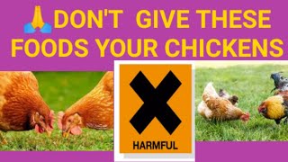 TEN (10) TOXIC FOODS FOR CHICKENS/ VYAKULA HATARI KWA KUKU !!