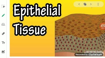 ClassIX Science 26 05 2020 by Ms Mridulata Upadhyay.