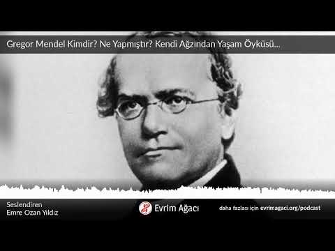 Video: Gregor Mendel: Biyografi, Yaratıcılık, Kariyer, Kişisel Yaşam