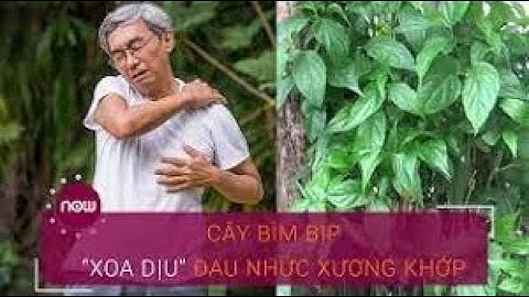 Cây bìm bịp "xoa dịu" cơn đau xương khớp