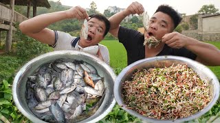 Cá Nhảy, Cắt Cơn Chậu Cá Nhảy Khổng Lồ - Nhịp Sống Tây Bắc