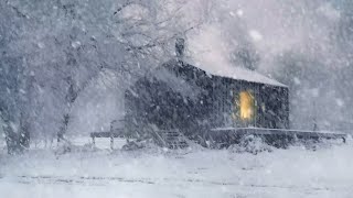 Deep Sleep with Blizzard and Wind Sounds | Cozy Winter Ambience, Snow Storm and Wind Sound