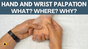 Palpation Of The Wrist and Hand