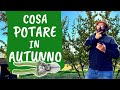 POTATURA AUTUNNALE: quali piante si possono potare ora