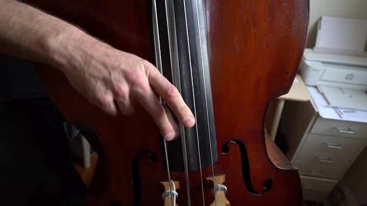 UPCOMING: BASSIST CHRIS LIGHTCAP