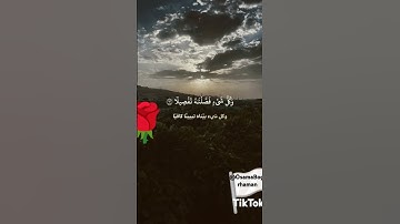 تلاوة القرآن الكريم #خشوع #الشيخ_ريان_المحسني#تلاوة_خاشعة