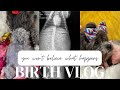 You won’t believe what happens… Maggie’s Birth Vlog