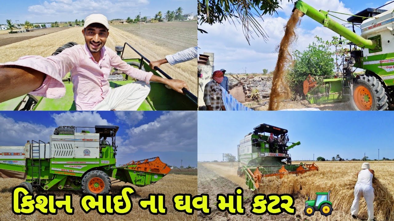 કિશન ભાઈ ના ઘવ 🌾 માં કટ્ટર||farming life 