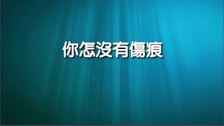 十字架的道路 跟隨主的路(467)